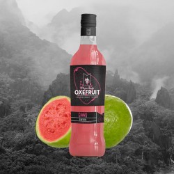 PURÉ DE GUAYABA, 70CL